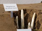 Spargelanstich 2026 Viktualienmarkt München