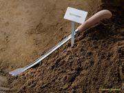 Spargelanstich 2026 Viktualienmarkt München