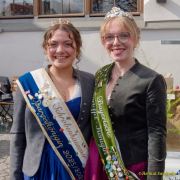 Spargelanstich 2026 Viktualienmarkt München