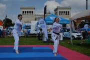d130707-11104830-100-muenchner_sportfestival