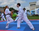 d130707-11121190-100-muenchner_sportfestival d130707-11121190-100-muenchner_sportfestival