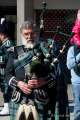 d170312-111739-400-100-st_patricks_day