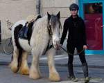 d170312-113231-400-100-st_patricks_day