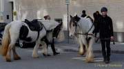 d170312-113249-500-100-st_patricks_day