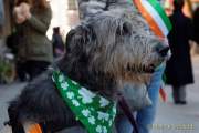 d170312-113535-100-100-st_patricks_day
