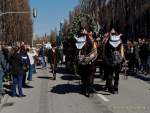 d170312-121015-700-100-st_patricks_day