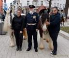 d180311-113220-470-100-st_patricks_day