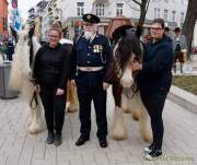 d180311-113220-470-100-st_patricks_day