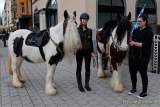 d180311-114054-540-100-st_patricks_day
