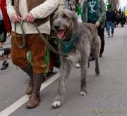 d180311-120526-120-100-st_patricks_day