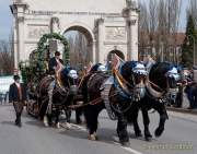 d180311-122842-400-100-st_patricks_day