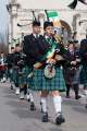 d180311-123016-230-100-st_patricks_day