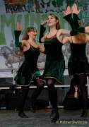 d180311-162506-360-100-st_patricks_day