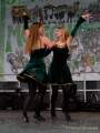 d180311-163050-040-100-st_patricks_day