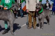 d190317-120456-890-100-st_patricks_day