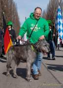 d190317-122634-680-100-st_patricks_day