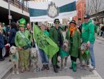 st-patricks-day-parade-240317-113808-0060