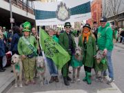st-patricks-day-parade-240317-113808-0060