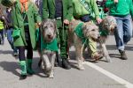 st-patricks-day-parade-240317-121045-0280