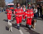 st-patricks-day-parade-240317-121143-0310