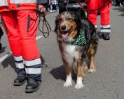 st-patricks-day-parade-240317-121155-0320