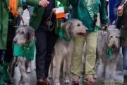 st-patricks-day-250316-122804-0191