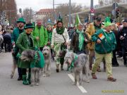 St. Patricks Day München 2026 - Parade