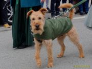 St. Patricks Day München 2026 - Parade