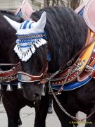 St. Patricks Day München 2026 - Parade