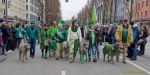 St. Patricks Day München 2026 - Parade