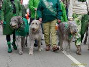 St. Patricks Day München 2026 - Parade