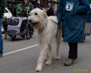 St. Patricks Day München 2026 - Parade