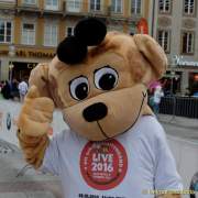 d160626-08482150-100-stadtlauf_muc