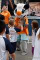 d170625-083544-300-100-stadtlauf_muc d170625-083544-300-100-stadtlauf_muc