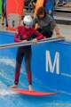 d140730-11153350-100-surf_and_style-pk d140730-11153350-100-surf_and_style-pk