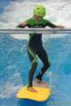 d140730-11175150-100-surf_and_style-pk d140730-11175150-100-surf_and_style-pk