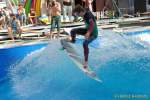 d140810-15180420-100-surf_and_style-em d140810-15180420-100-surf_and_style-em