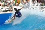 d140810-15181960-100-surf_and_style-em d140810-15181960-100-surf_and_style-em