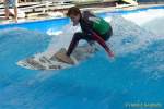 d140810-15200300-100-surf_and_style-em d140810-15200300-100-surf_and_style-em