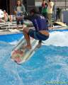 d140810-15240350-100-surf_and_style-em d140810-15240350-100-surf_and_style-em