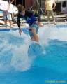 d140810-15274470-100-surf_and_style-em d140810-15274470-100-surf_and_style-em