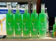 d150731-10114340-100-surf_and_style-eroeffnung