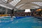 d150816-14060620-100-surf_and_style-em