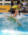 d150816-15502040-100-surf_and_style-em d150816-15502040-100-surf_and_style-em
