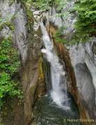 d200607-093332-009-100-tatzelwurm_wasserfaelle