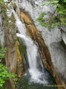 d200607-093754-026-100-tatzelwurm_wasserfaelle