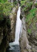 d200607-095006-039-100-tatzelwurm_wasserfaelle