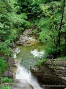 d200607-095319-054-100-tatzelwurm_wasserfaelle