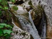 d200607-101747-086-100-tatzelwurm_wasserfaelle