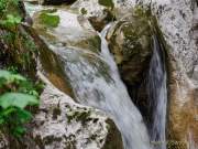 d200607-101825-087-100-tatzelwurm_wasserfaelle